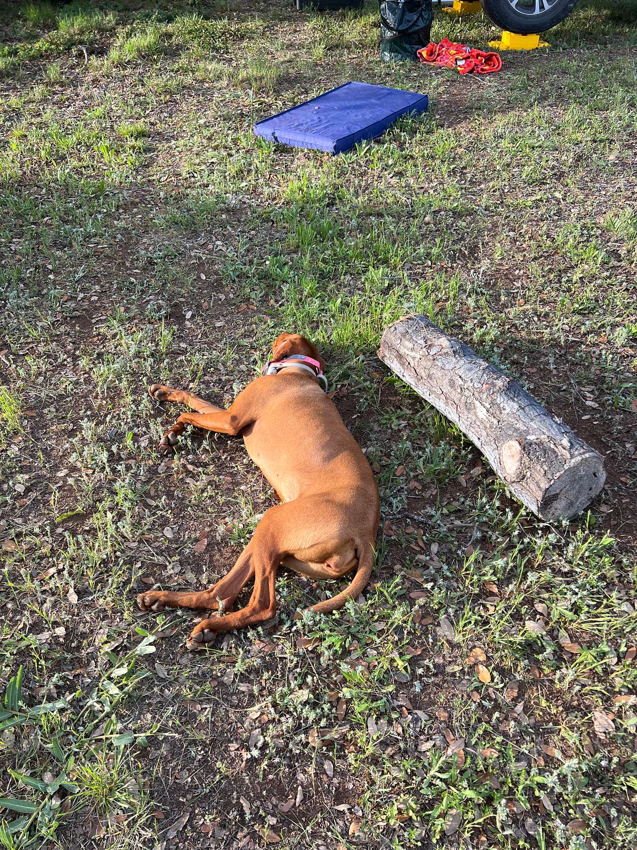 Pedernales RV Park