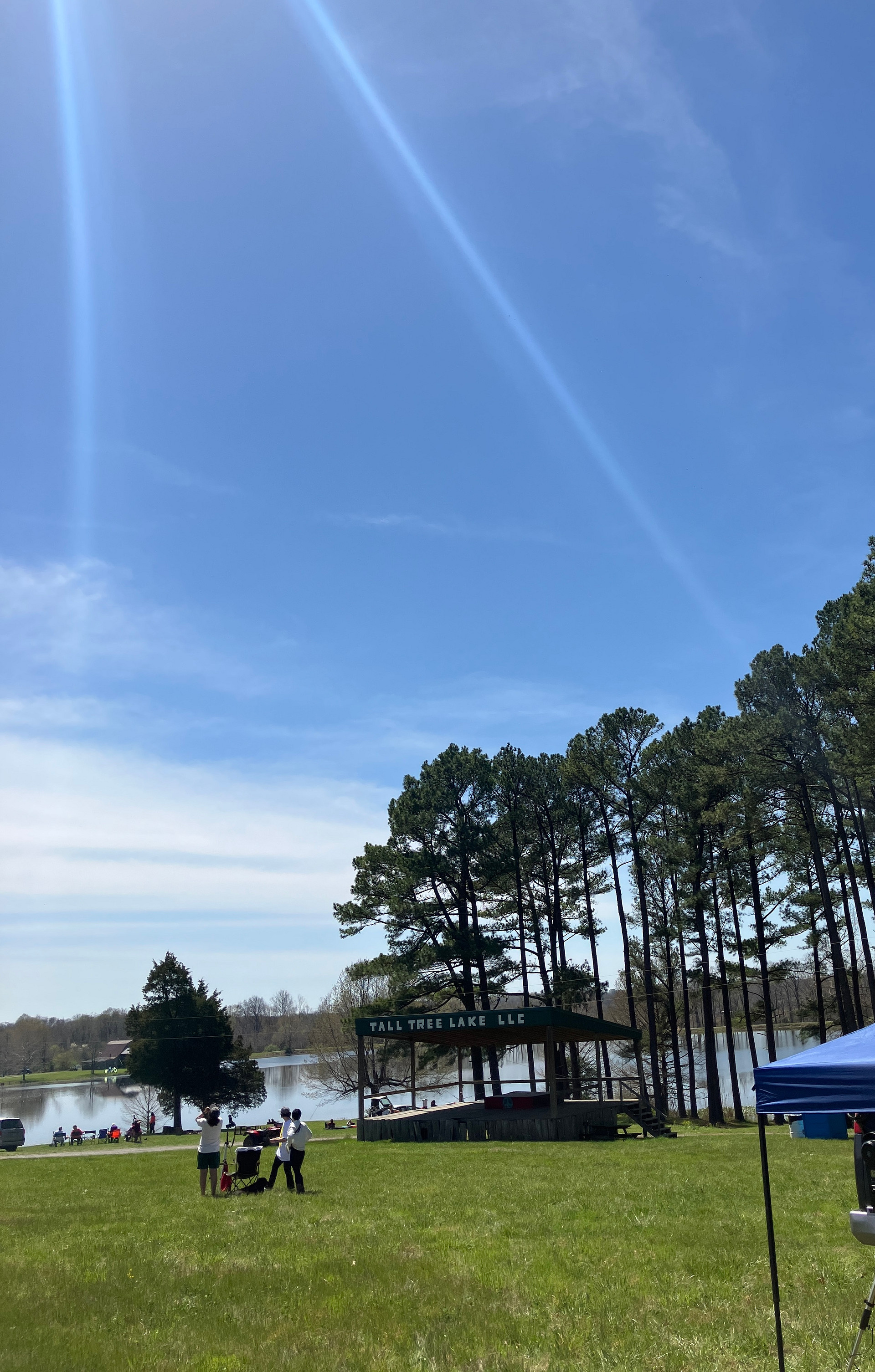 Tall Tree Lake