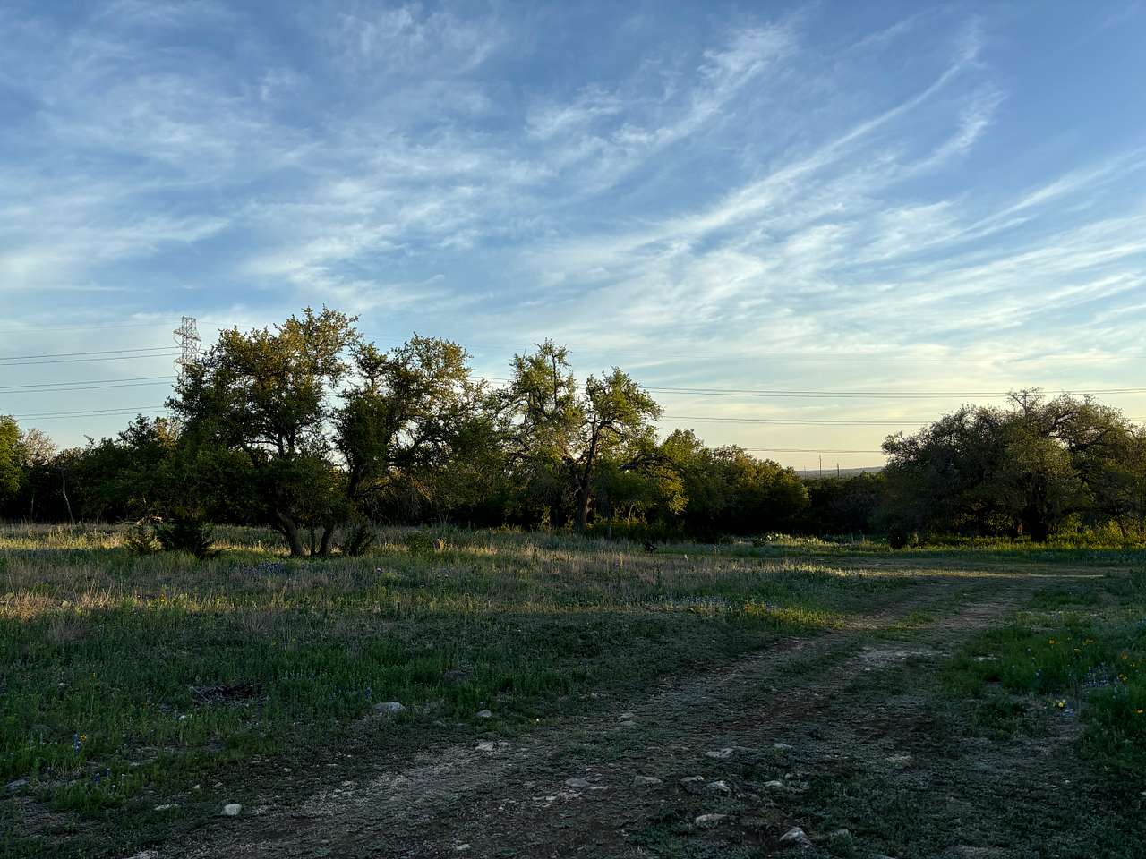 Homestead Hill
