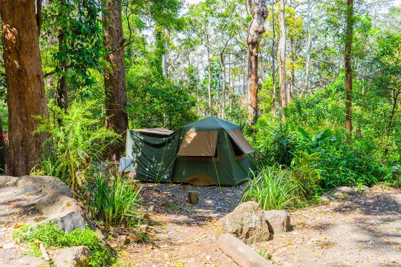 Binna Burra Lodge