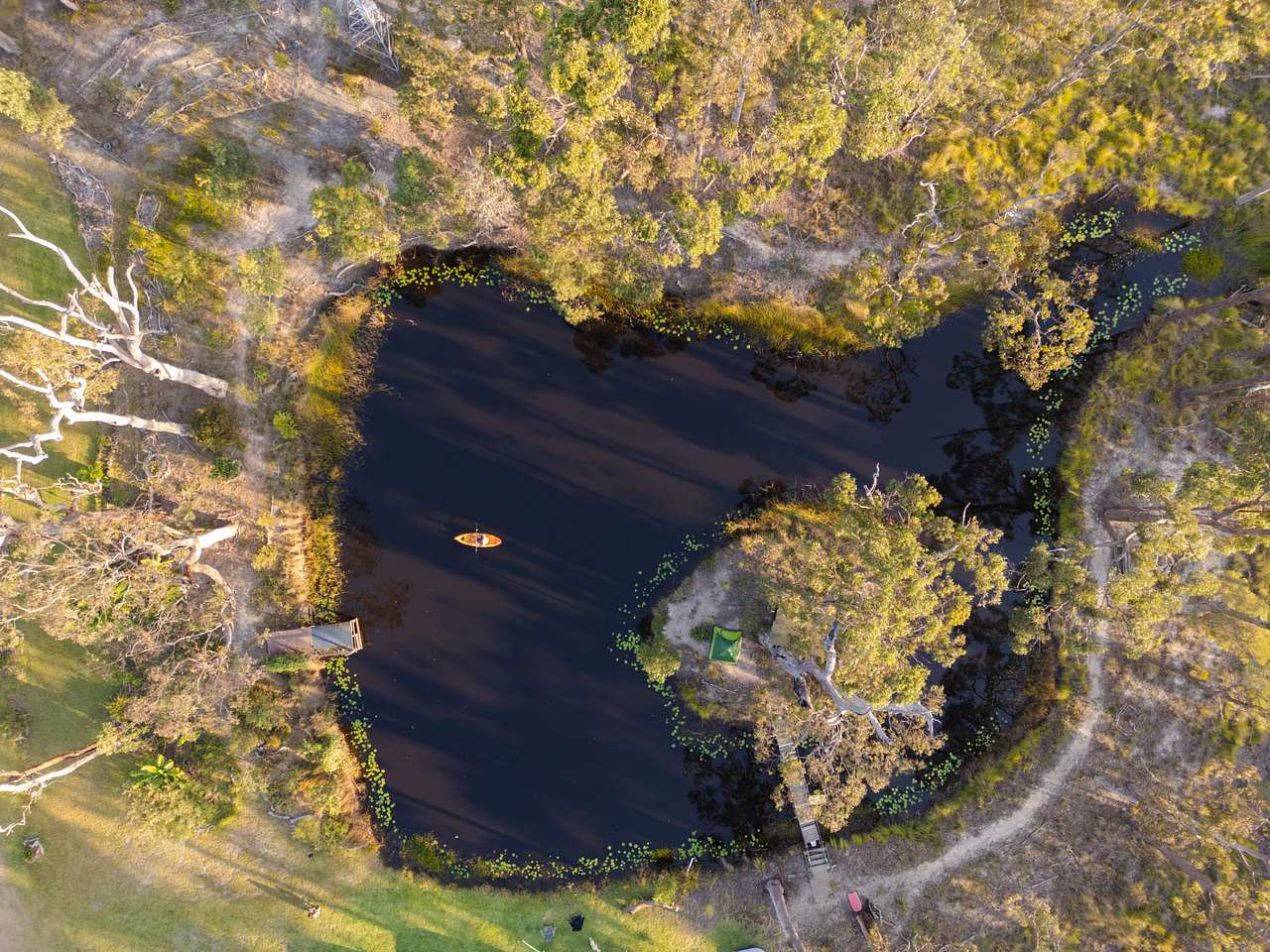Peaceful Pond