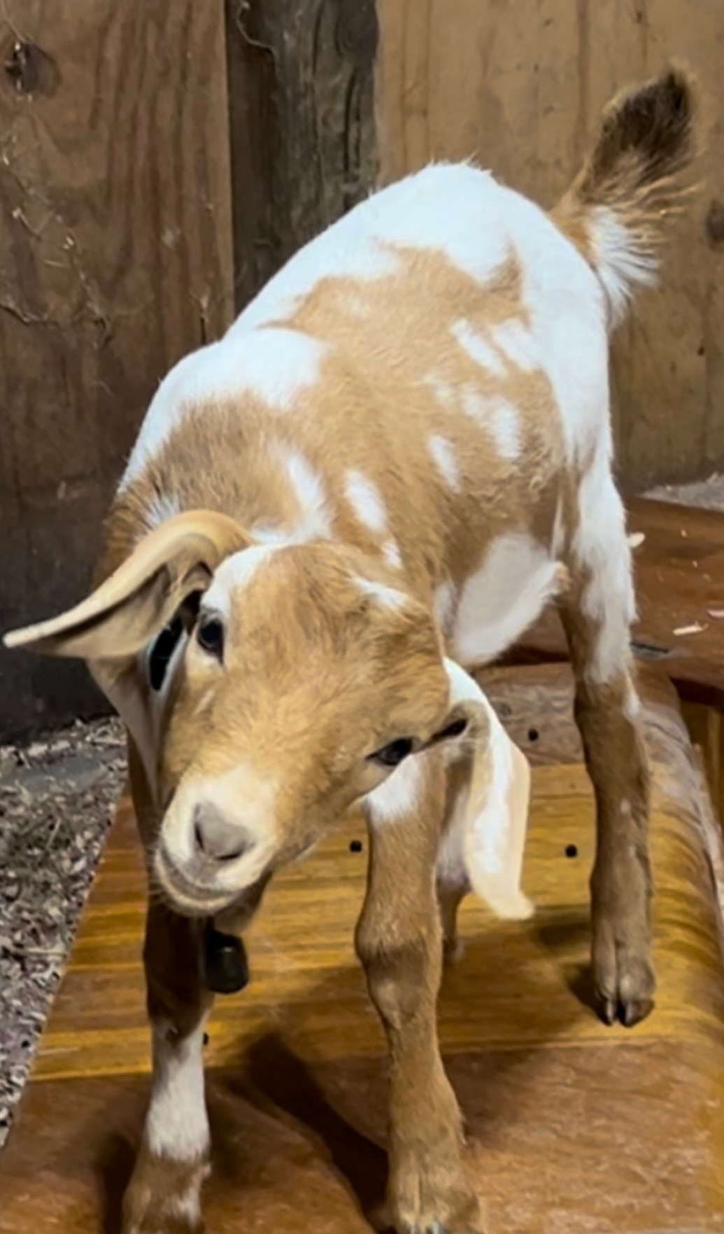 Hidden Door Farm