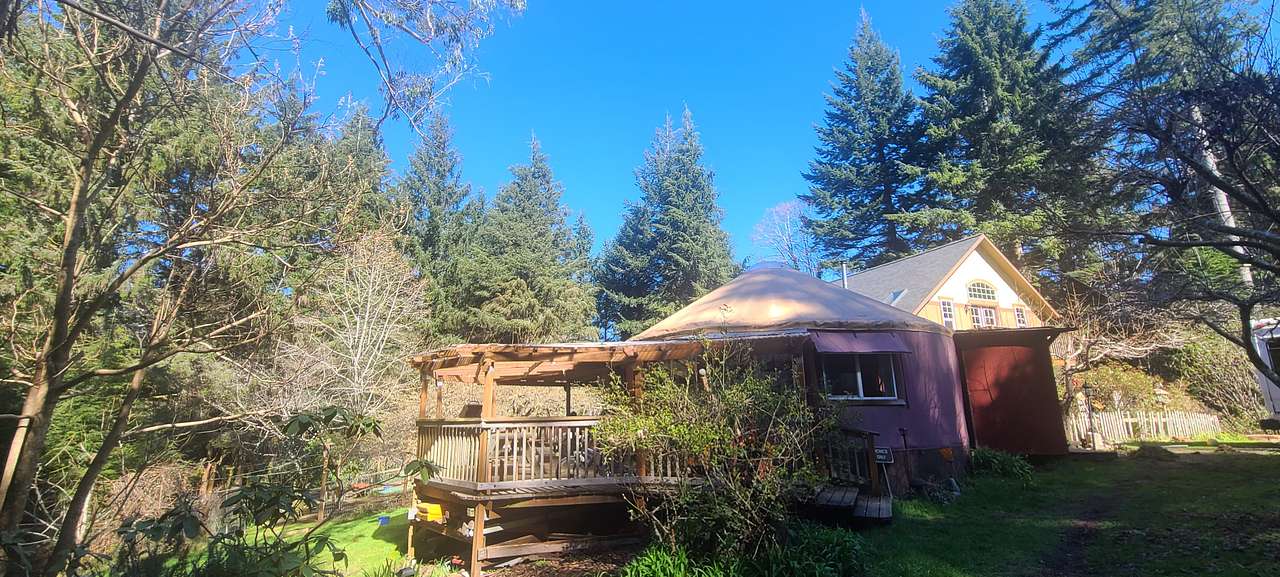 Burgess Backyard