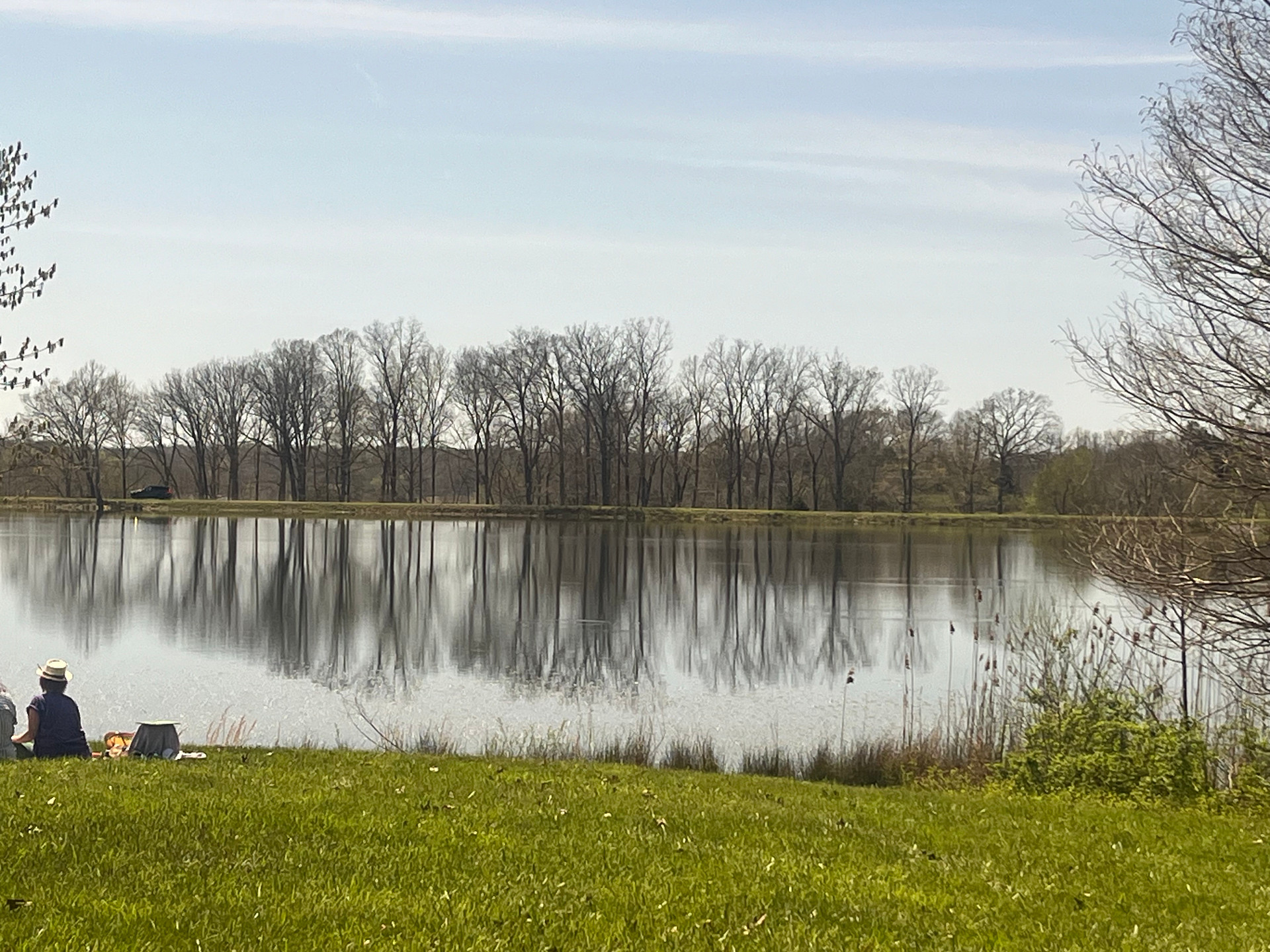 Tall Tree Lake