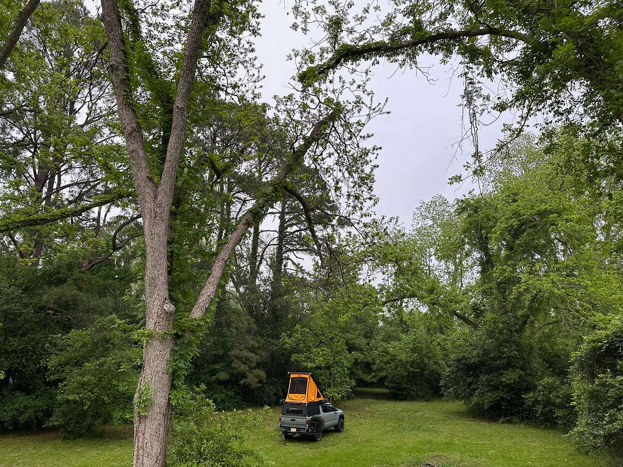 Camping area behind the historic home is very private