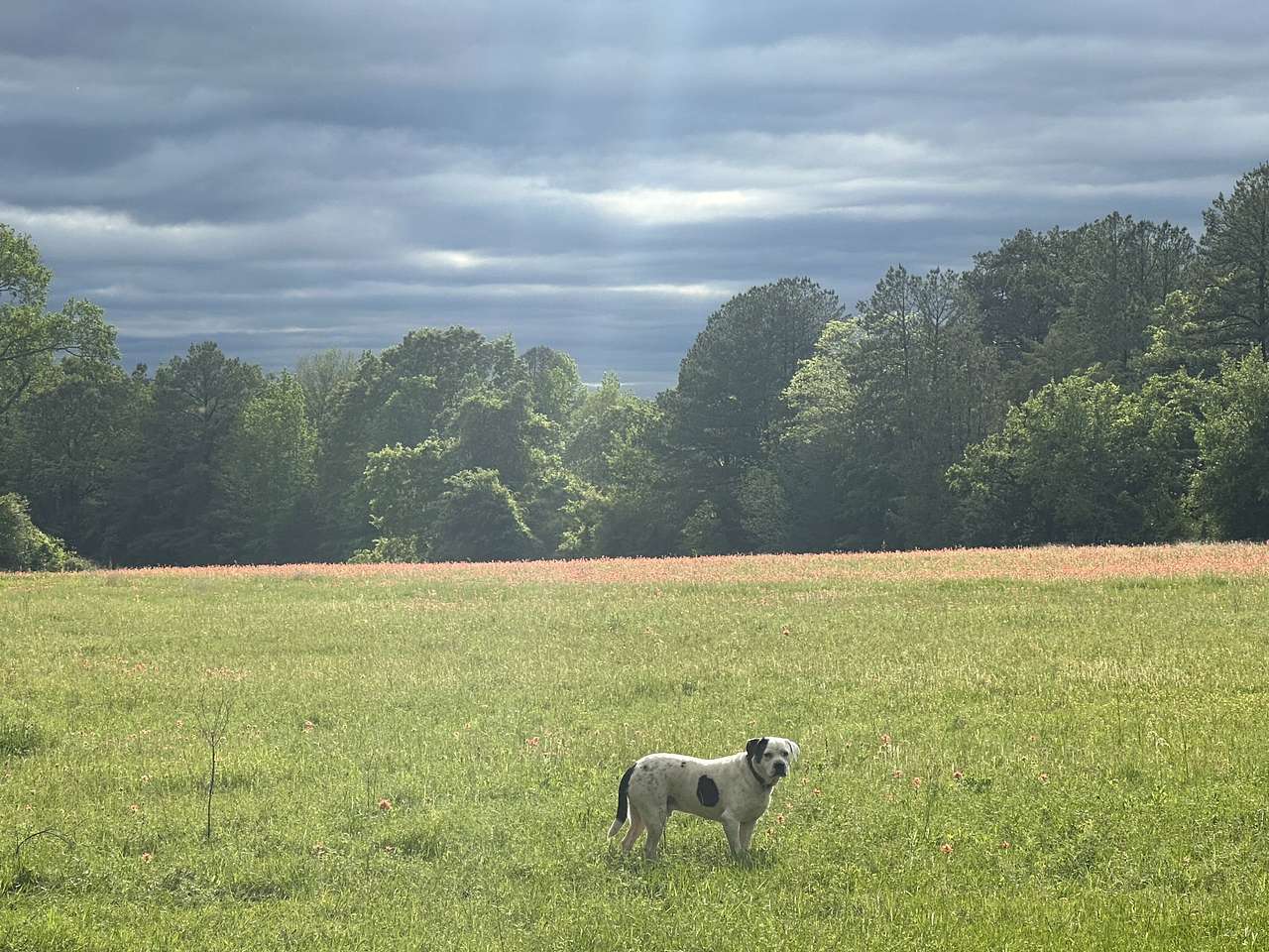 The Ranch At Beulah