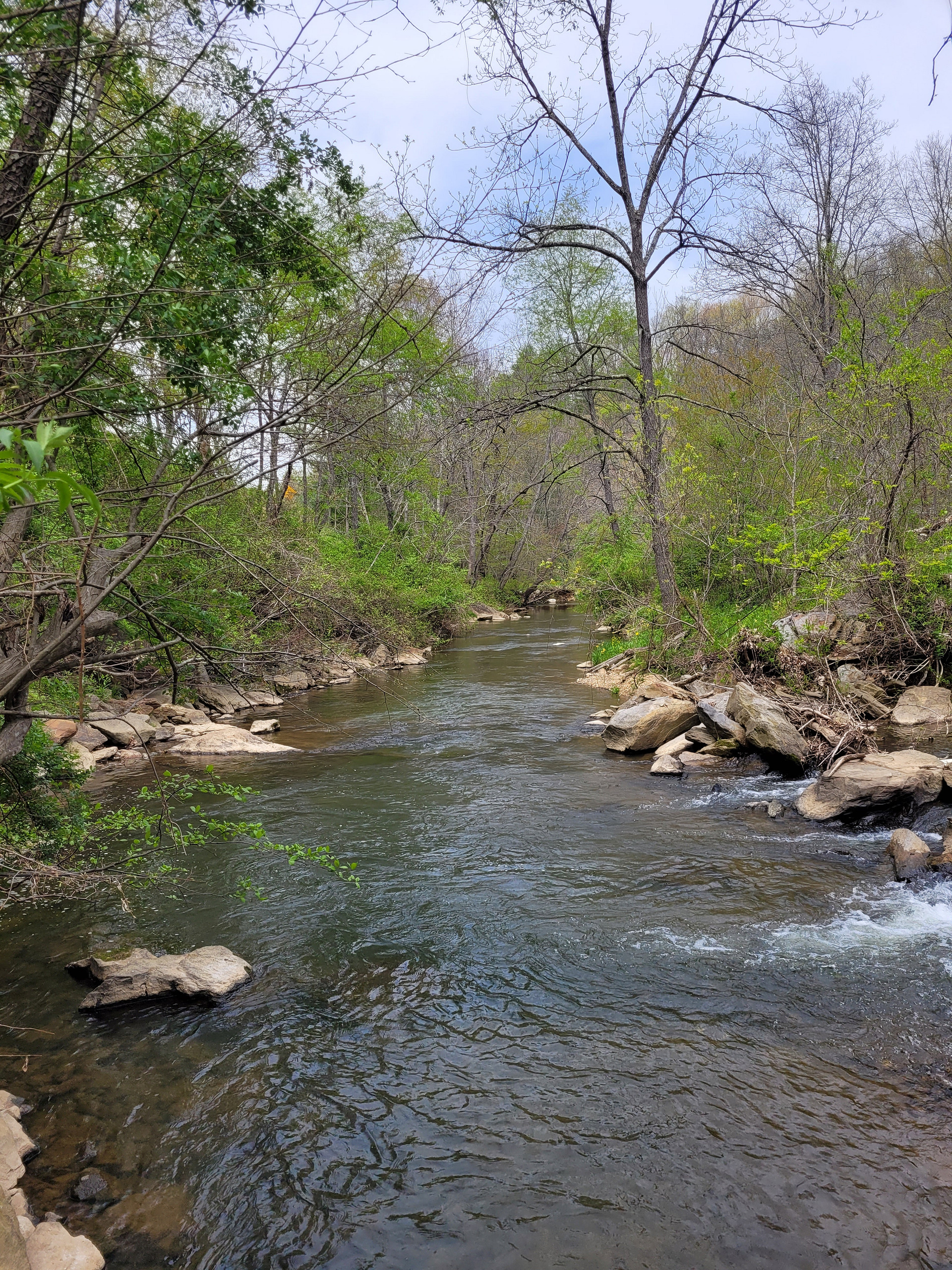 Hippie Hollow