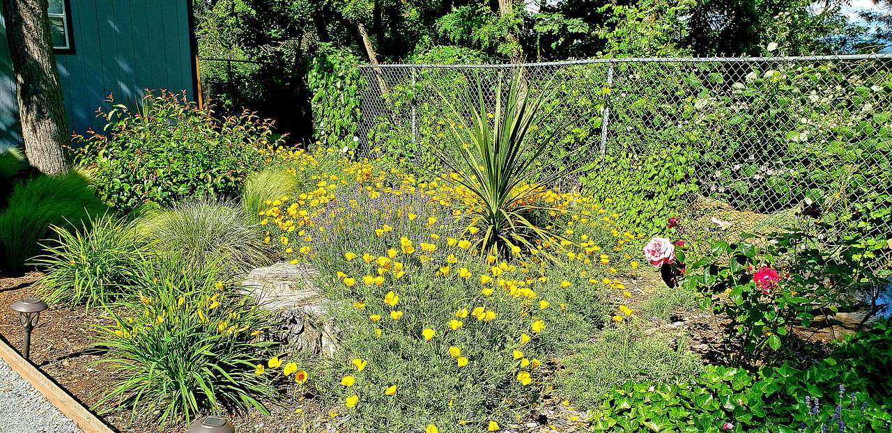 Pollinating garden