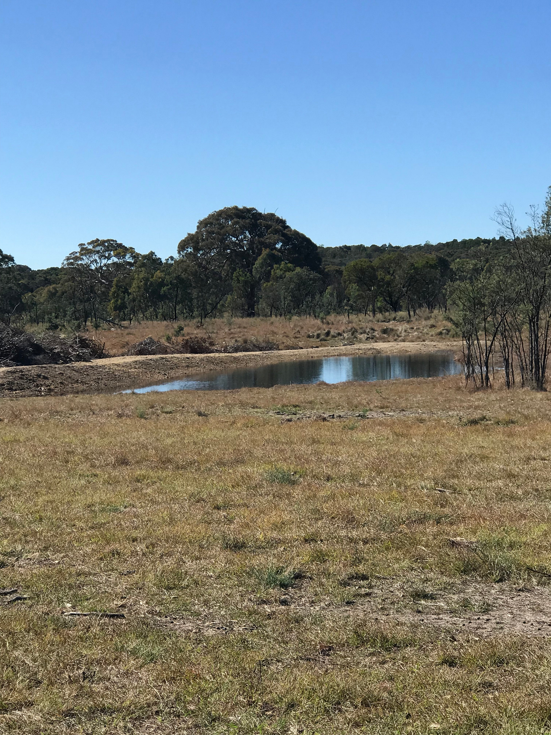 Miranda Springs Farm Stay