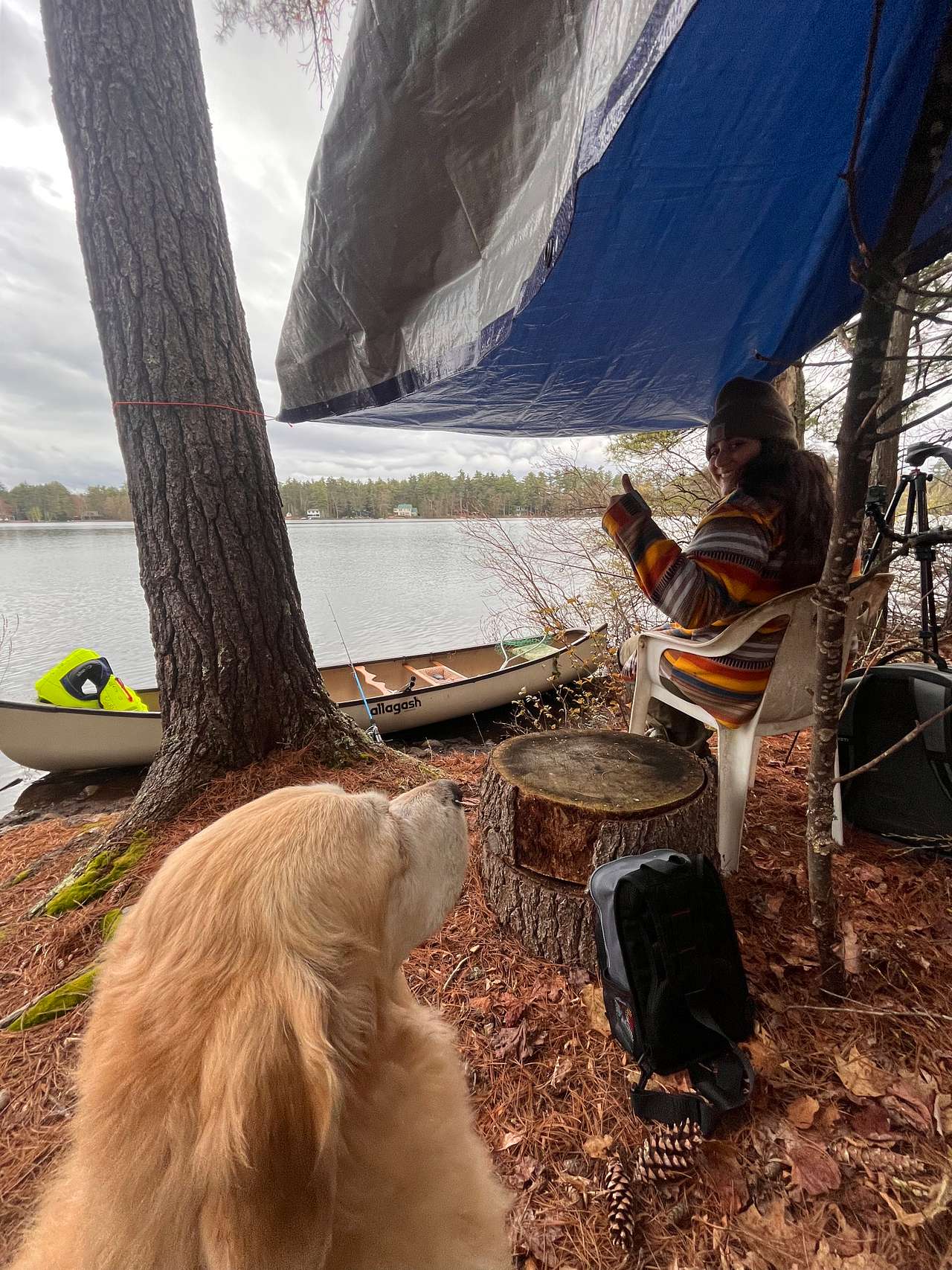 Duncan Lake Island