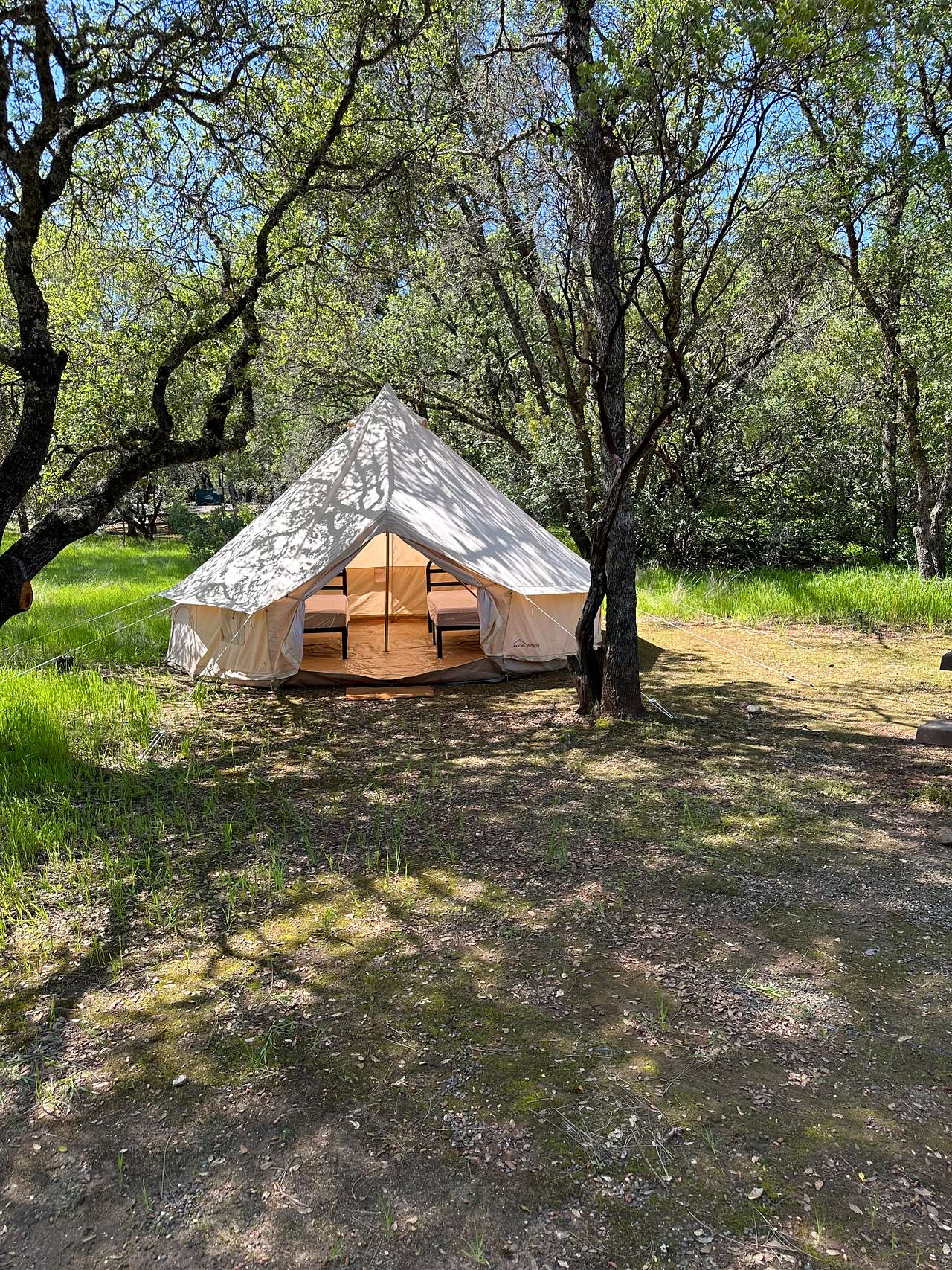 Lake Oroville Glamping