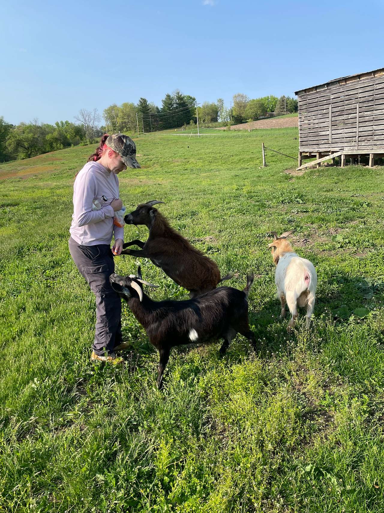 Finally A Farm