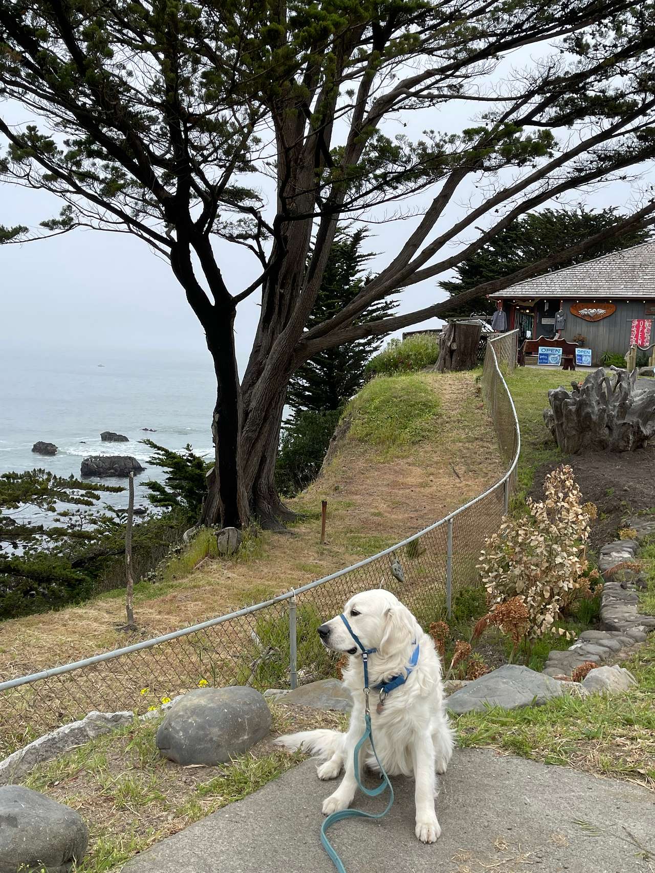 Shelter Cove