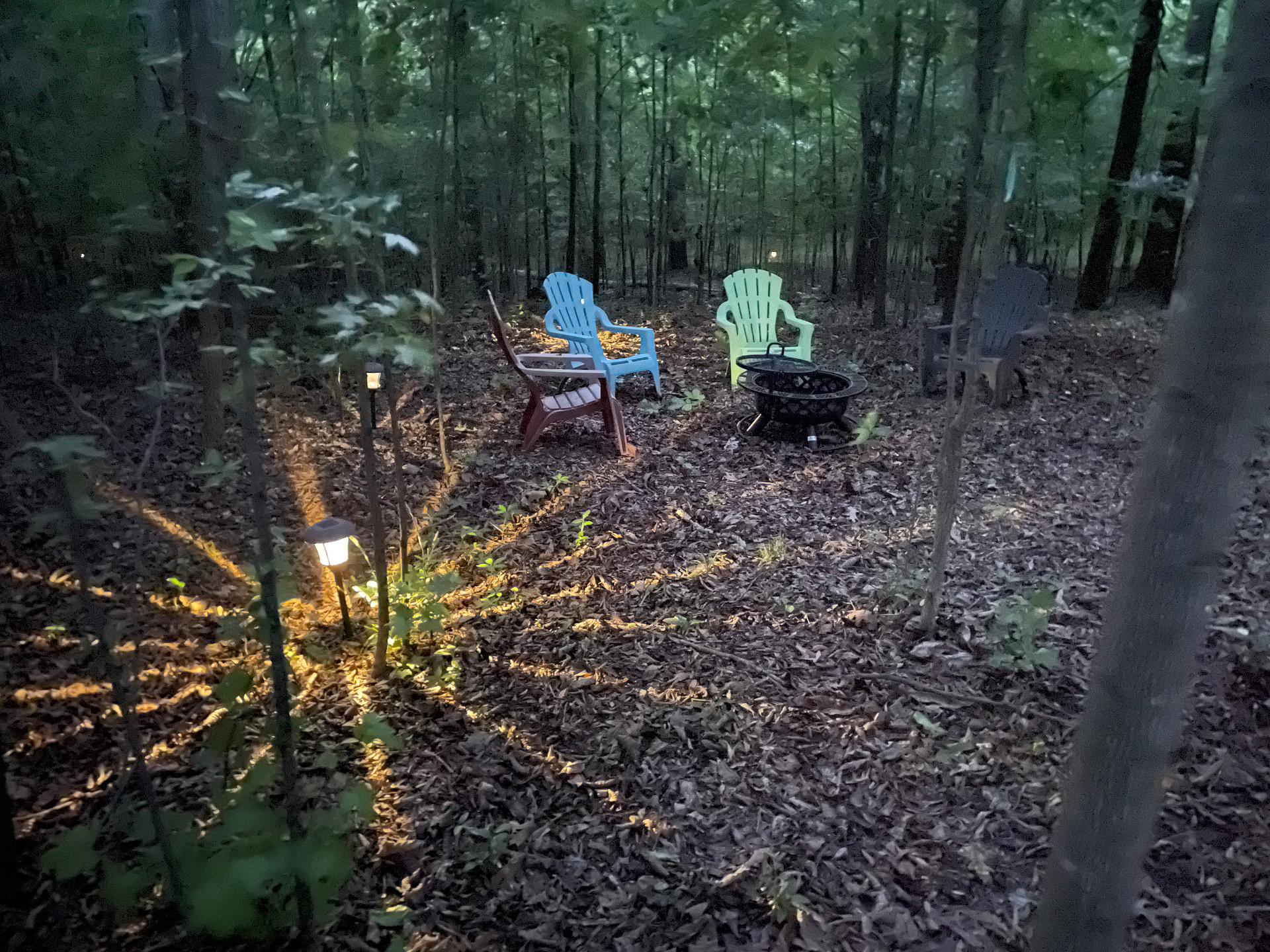 Cj’s Suburban Oasis