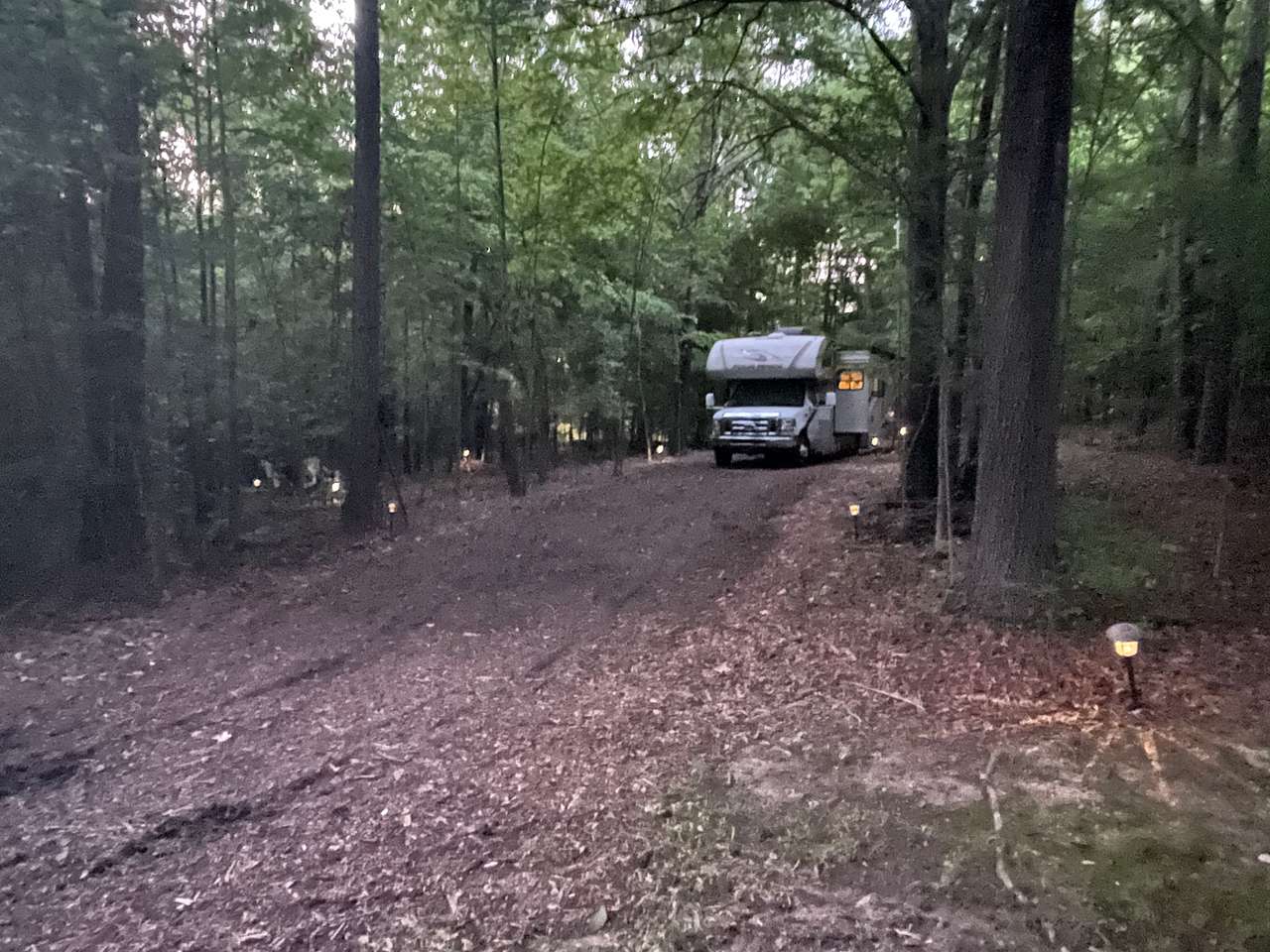 Cj’s Suburban Oasis