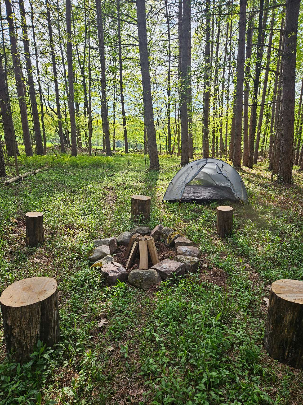 Brook Hollow Homestead