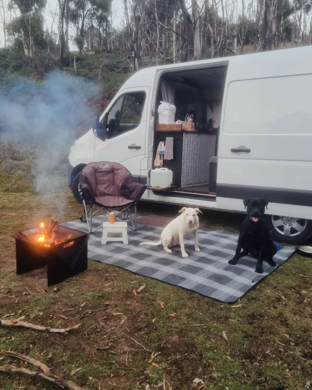 Reedy Creek Camping