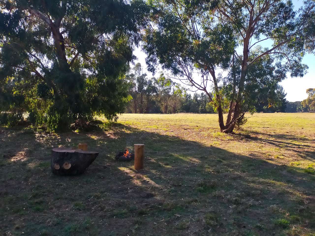 Foxes Den