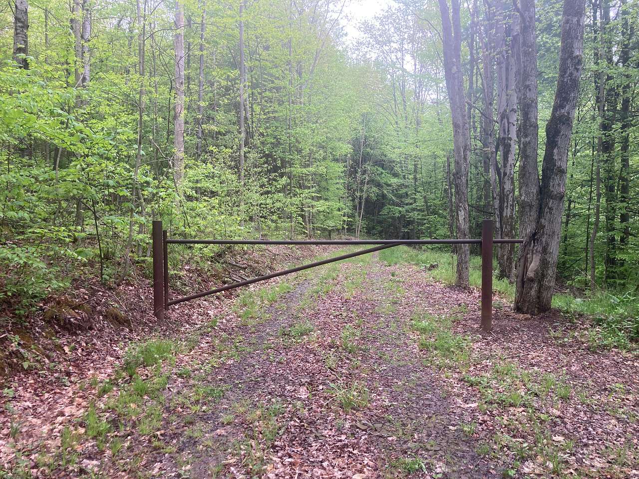 The 100 Acre Wood