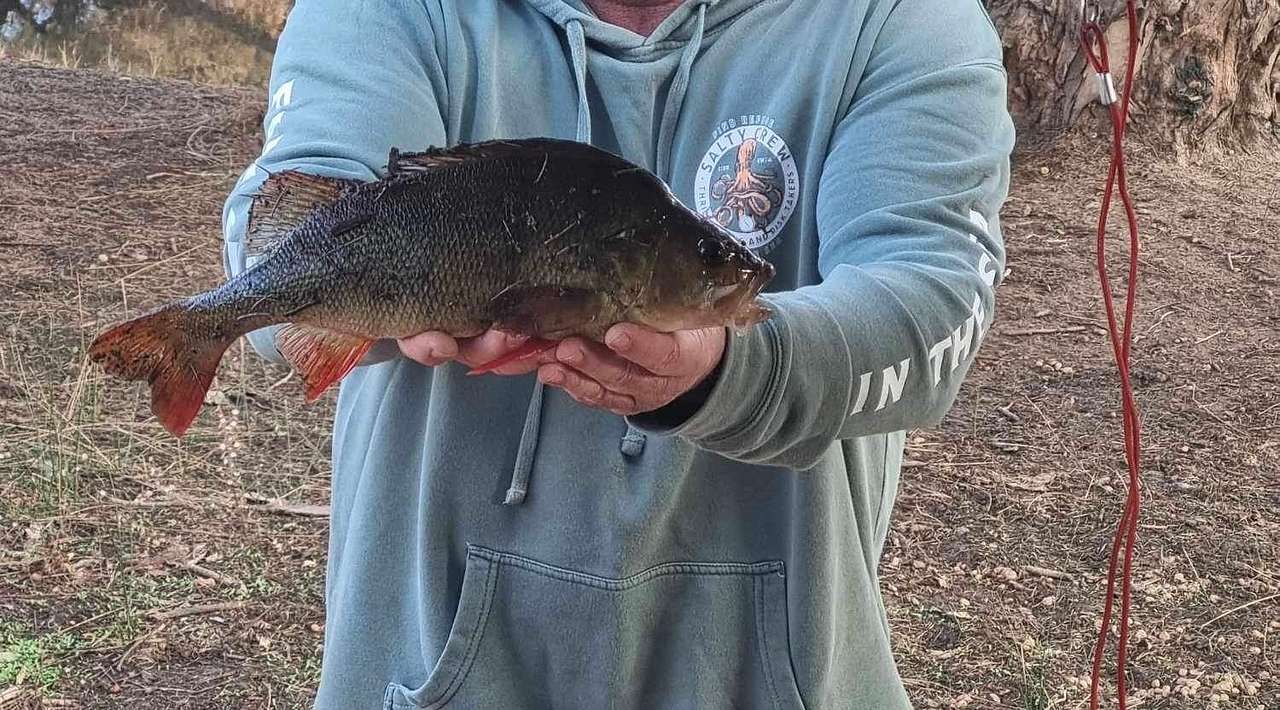 Murray Valley Camping