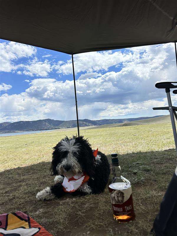 Camp Lake View
