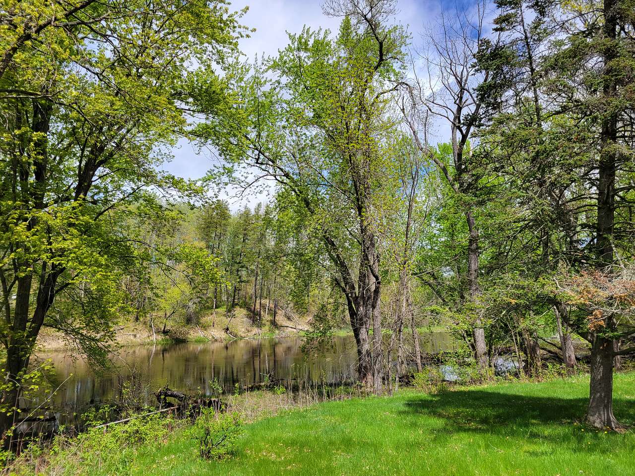 Winding Woods on Pine River