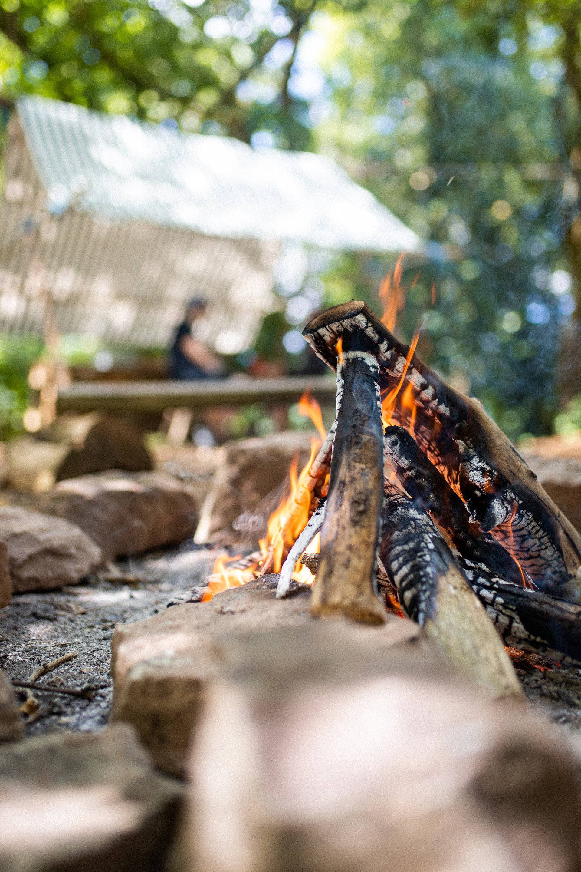 Swallow Barn Woodland Campsite