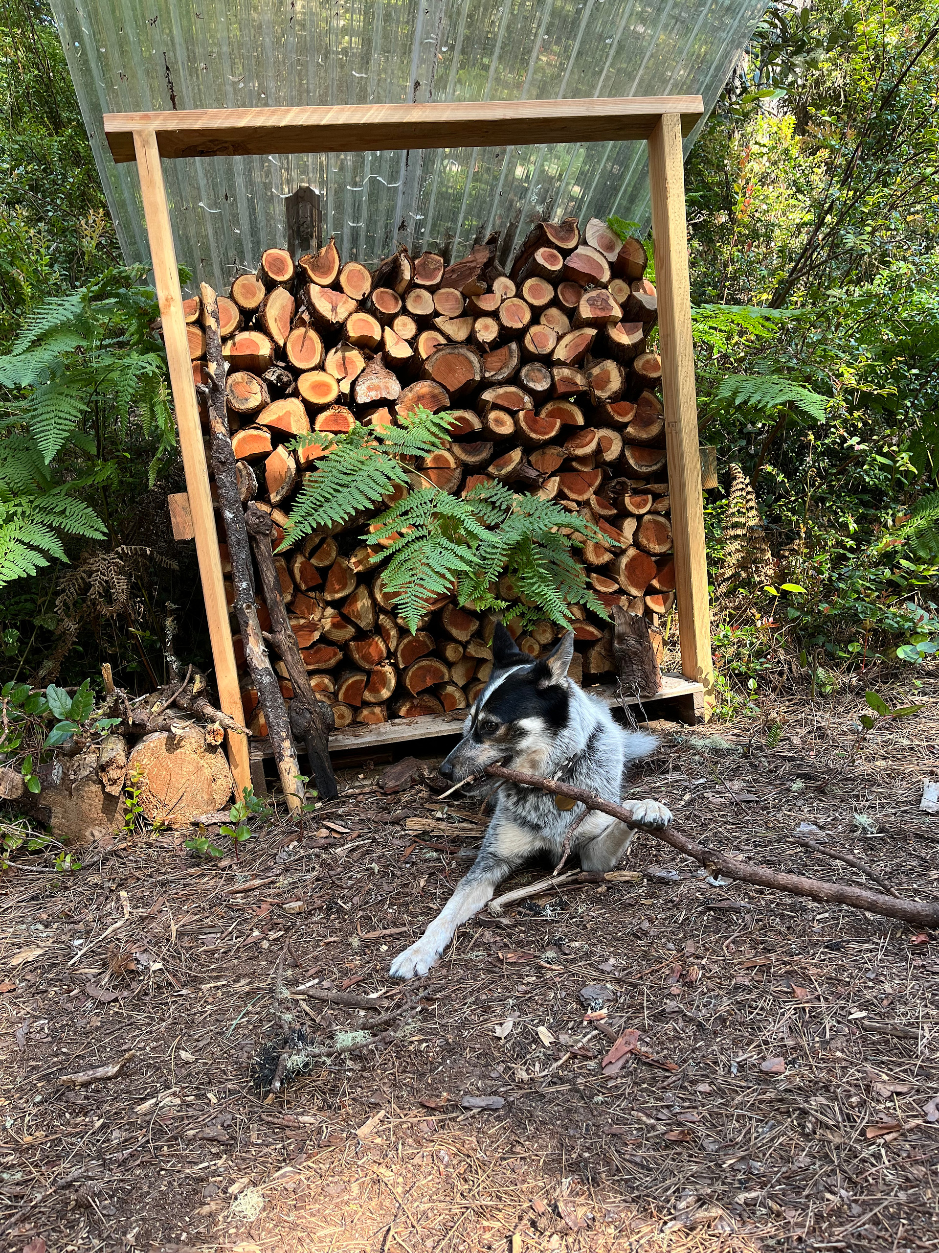 Fire wood available