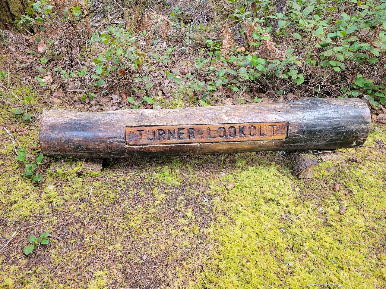 Our welcome log at the second driveway access