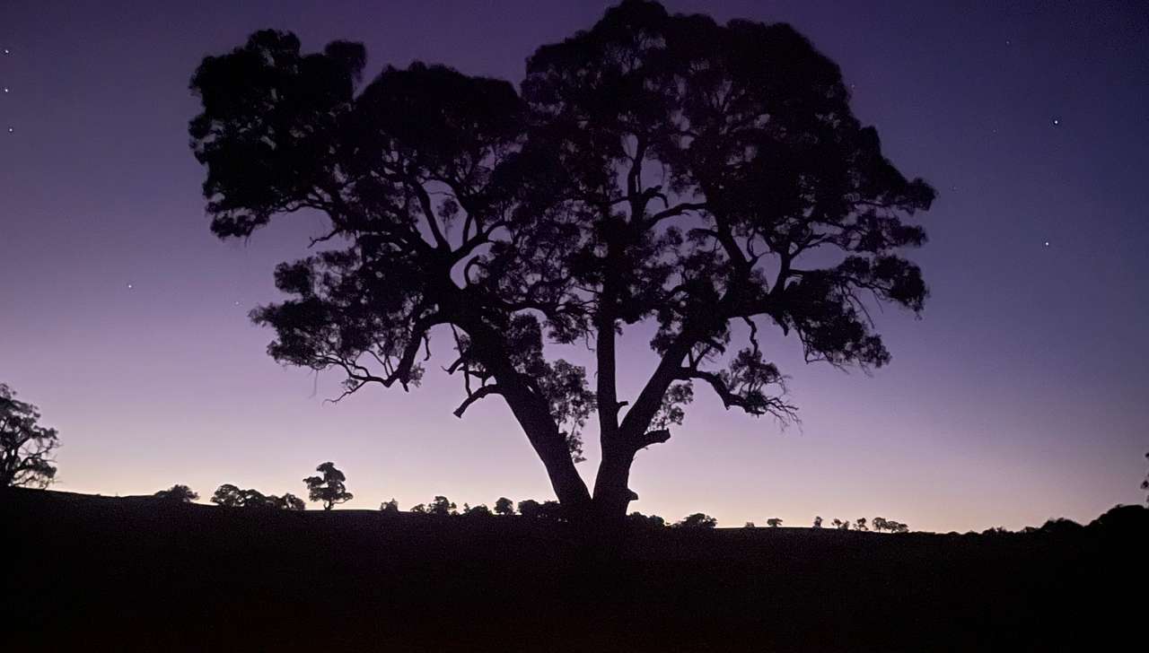 The Valley of Eden - Barossa