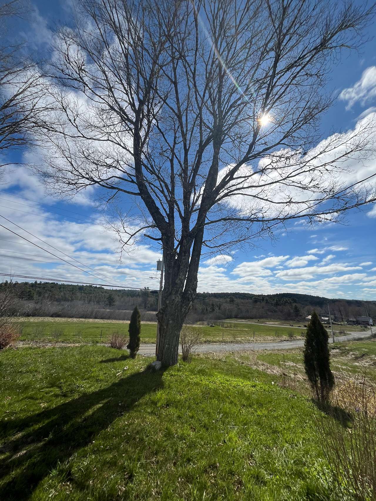 Harmony Mills Farm