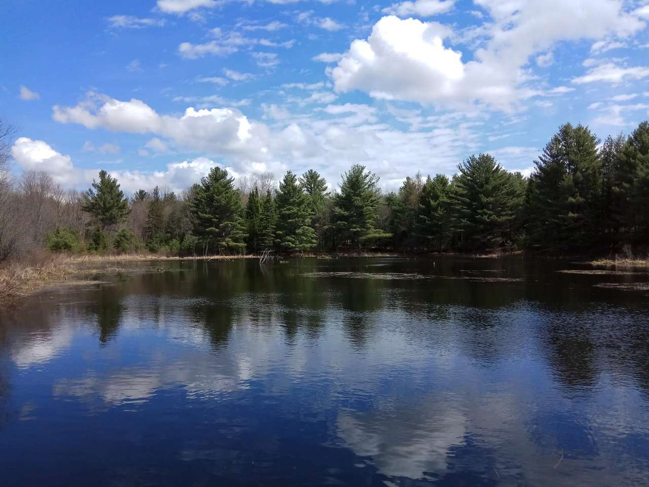 2 acre pond