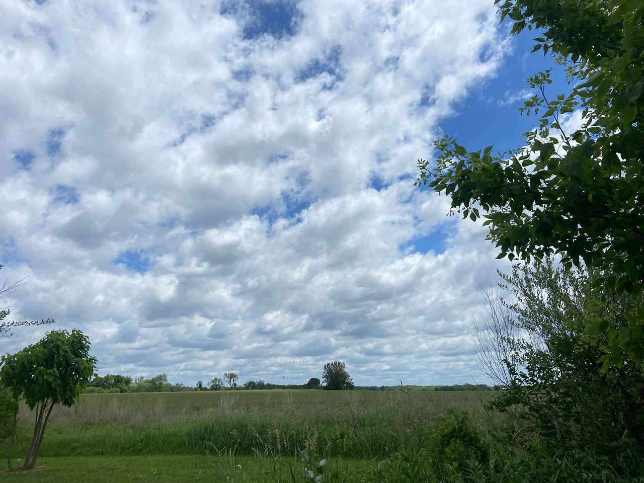 Daisy’s Farms On Notalotta Acers