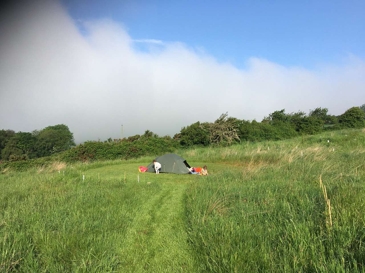 Ffosygrafel Isaf Camping