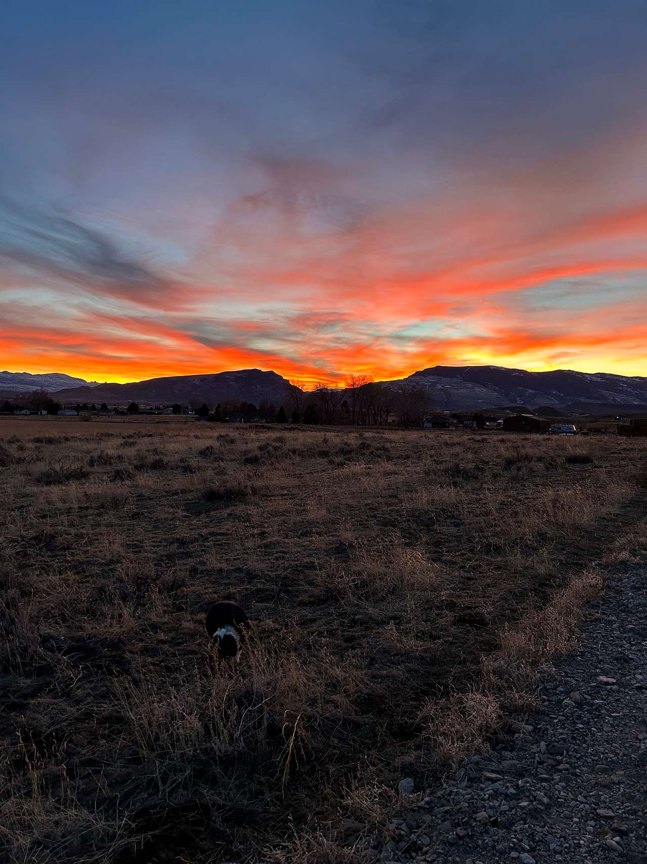 Sweetiebird Farms In Cody WY
