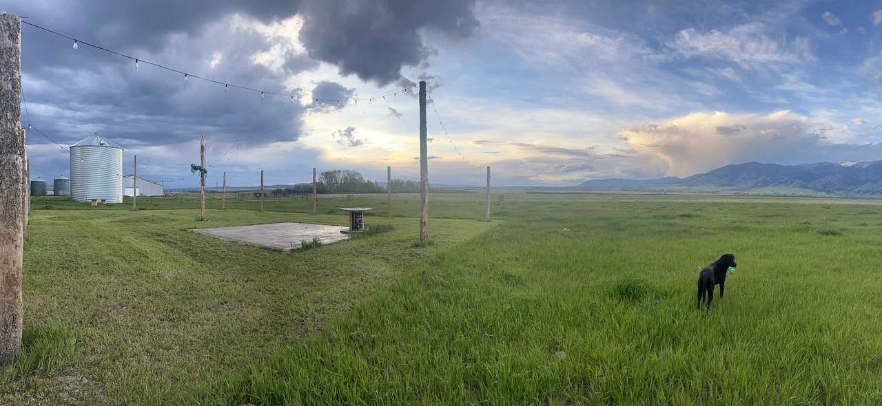 Bridger Views