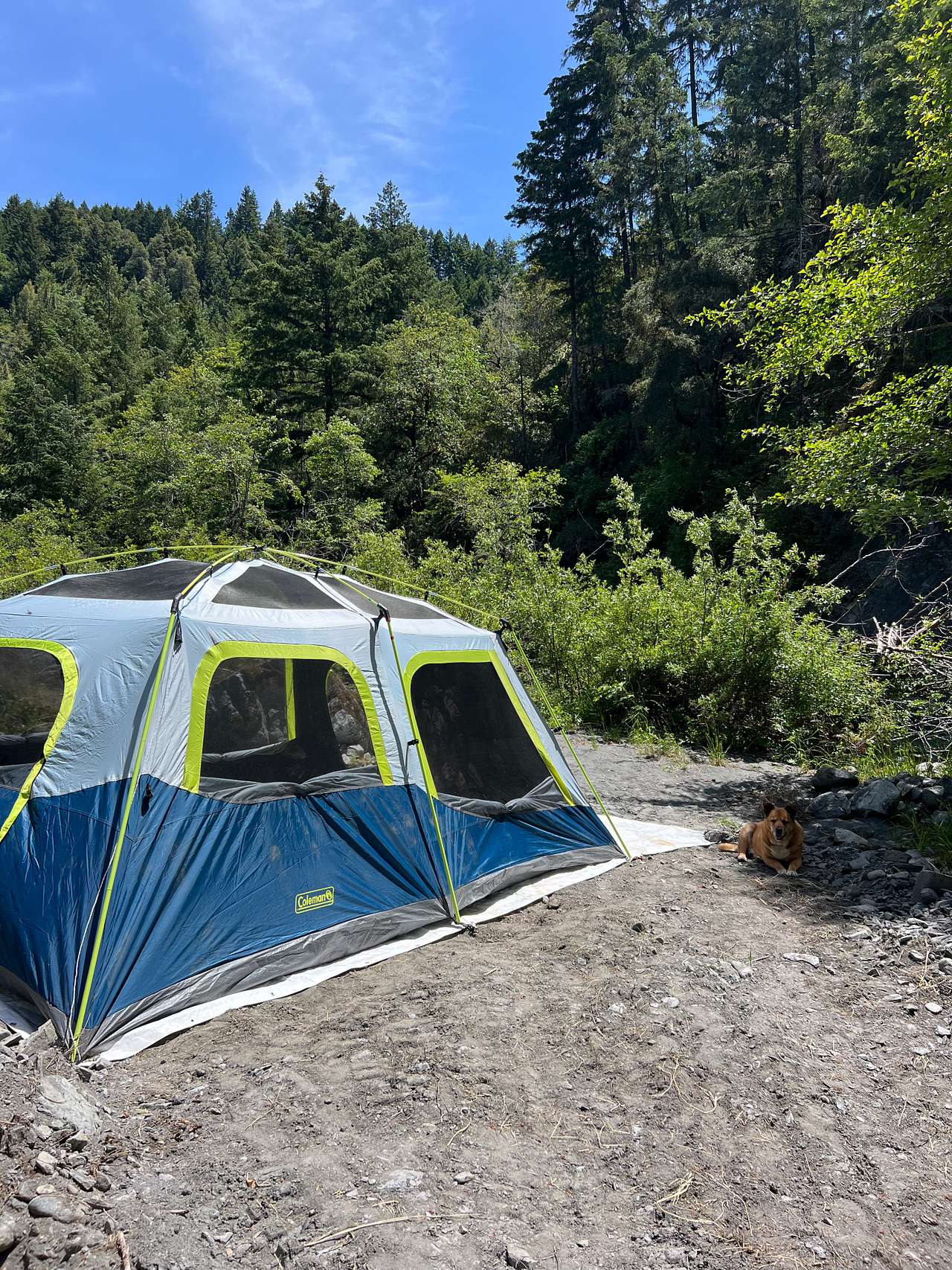 Tranquil Riverside Camping