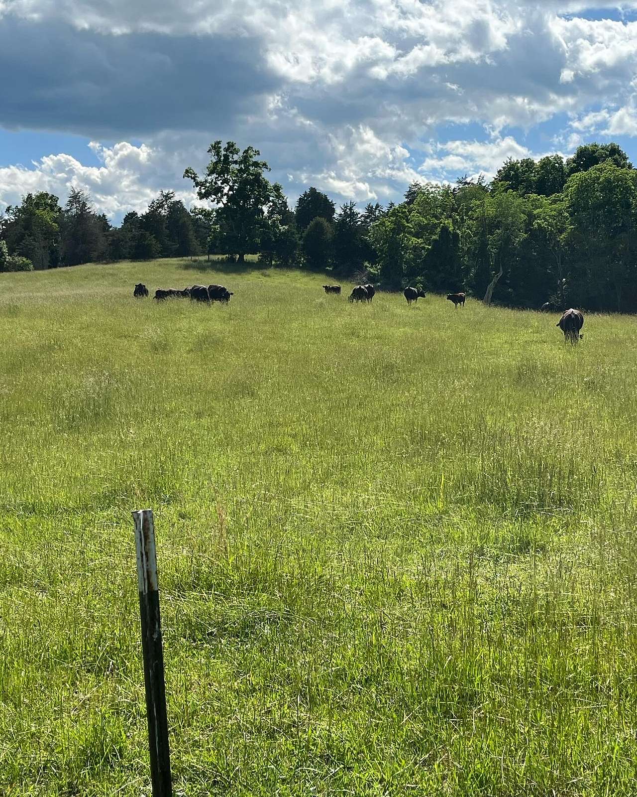South Fork Farm