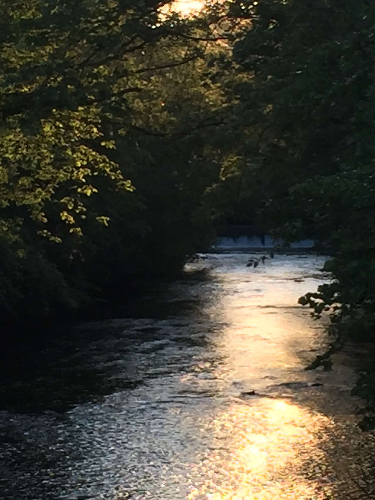Jessup Mill
