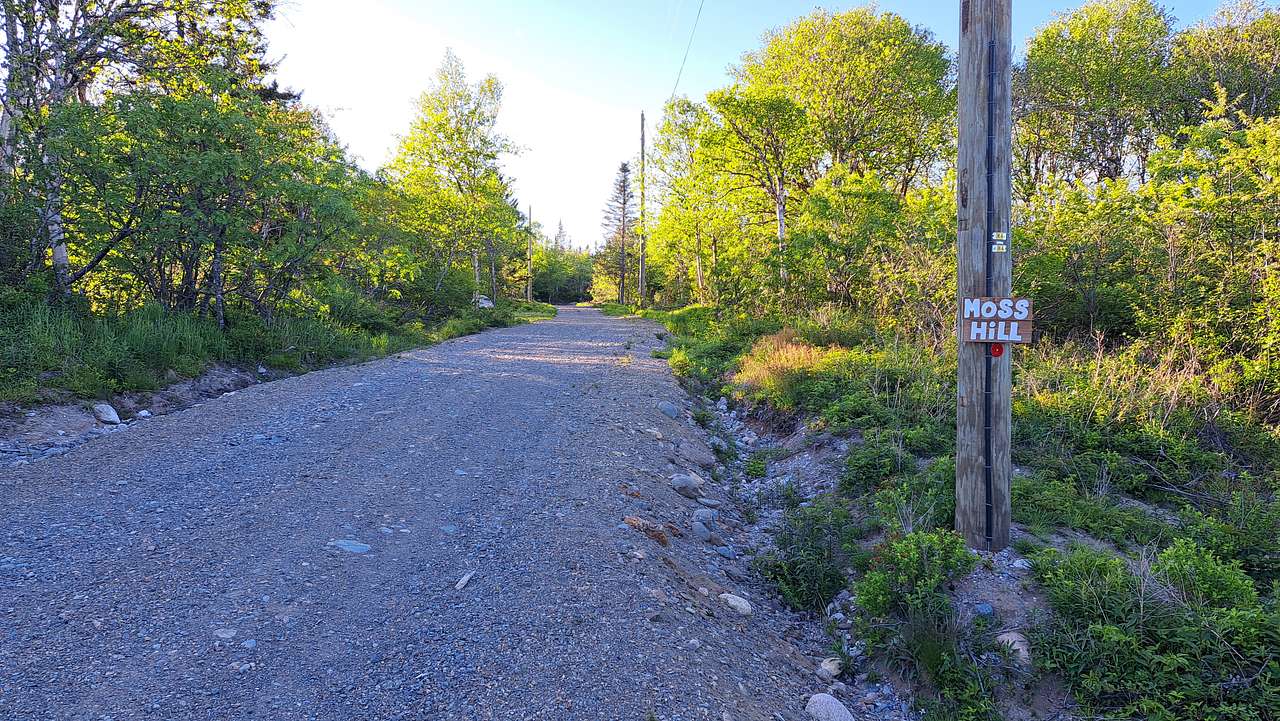 Moss Hill