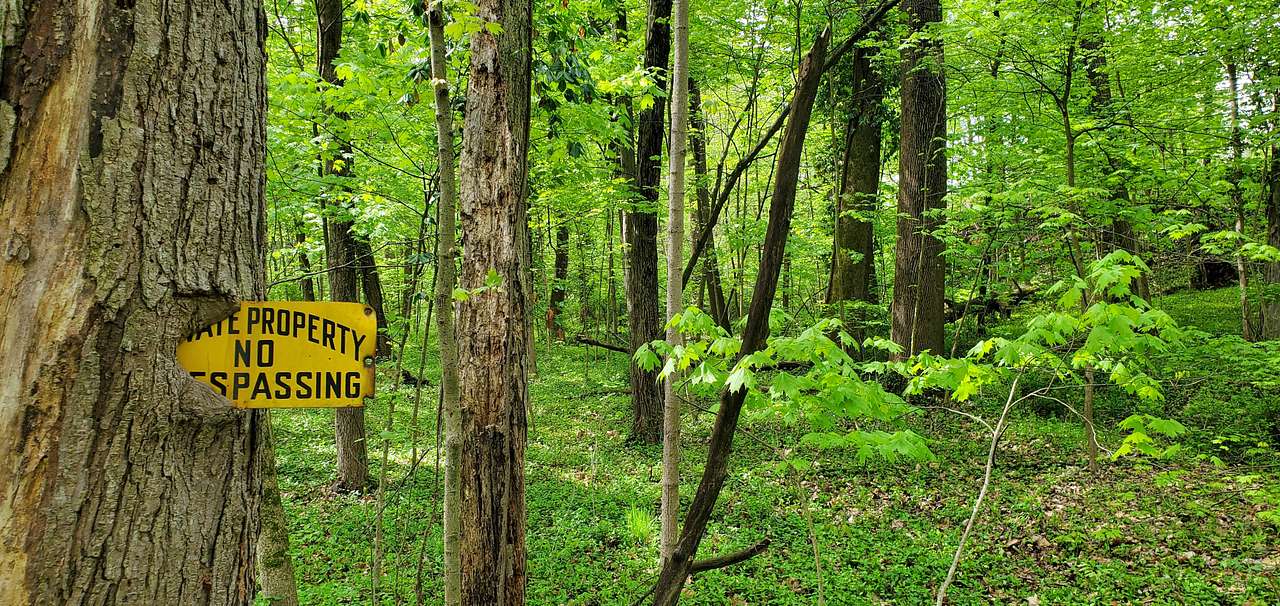Secluded Peaceful Lot Creek &Ravine