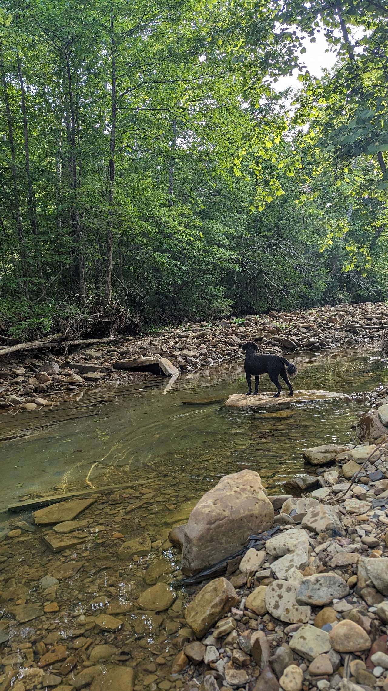 Camp Creek
