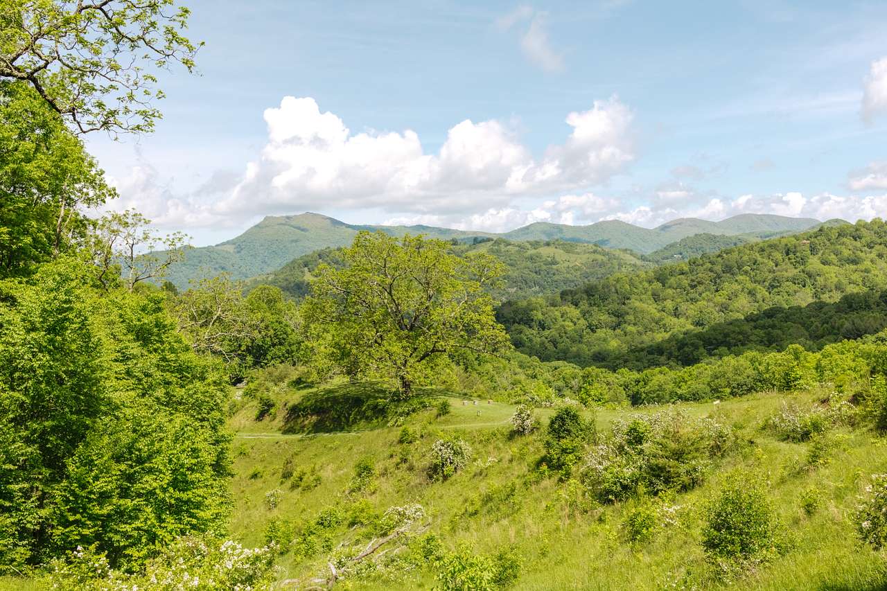 Pause || Eco-Retreat at Aramesh