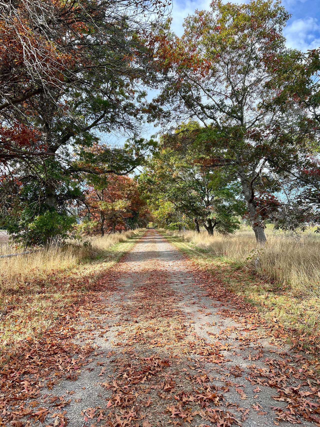 The Glendale Farm