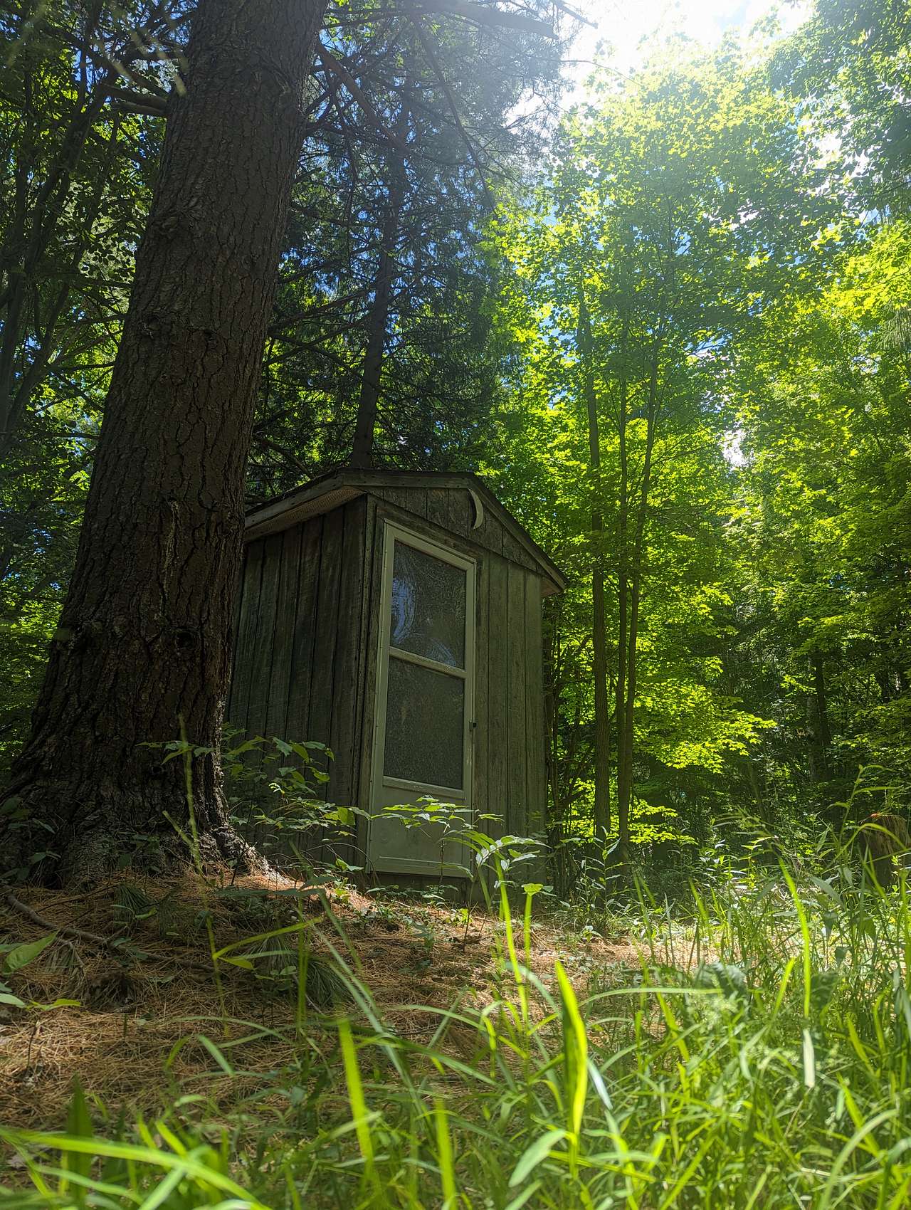 Steadfast Roots Homestead