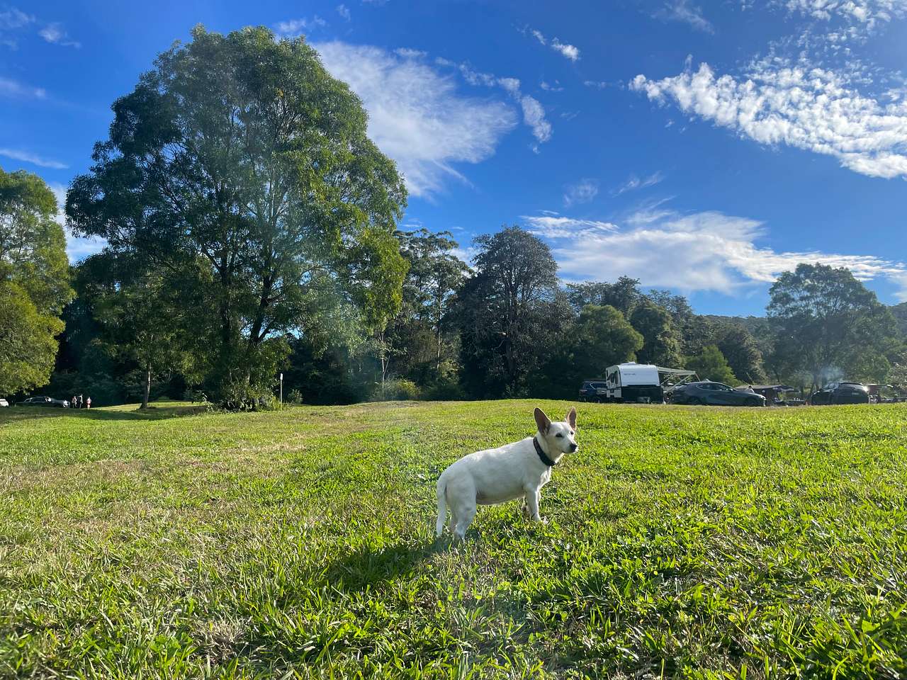 Myrtle Ridge Farm