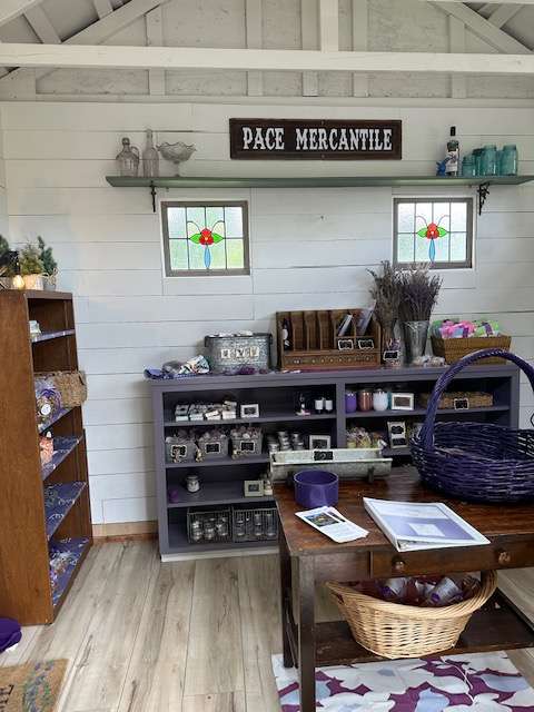 Pace Family Lavender & Hobby Farm