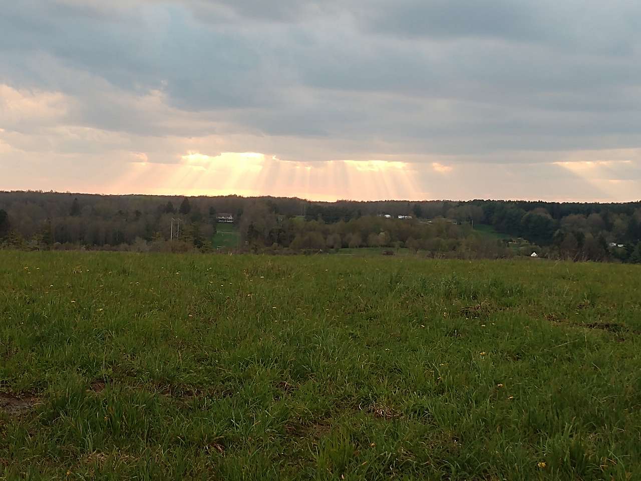 May Farms