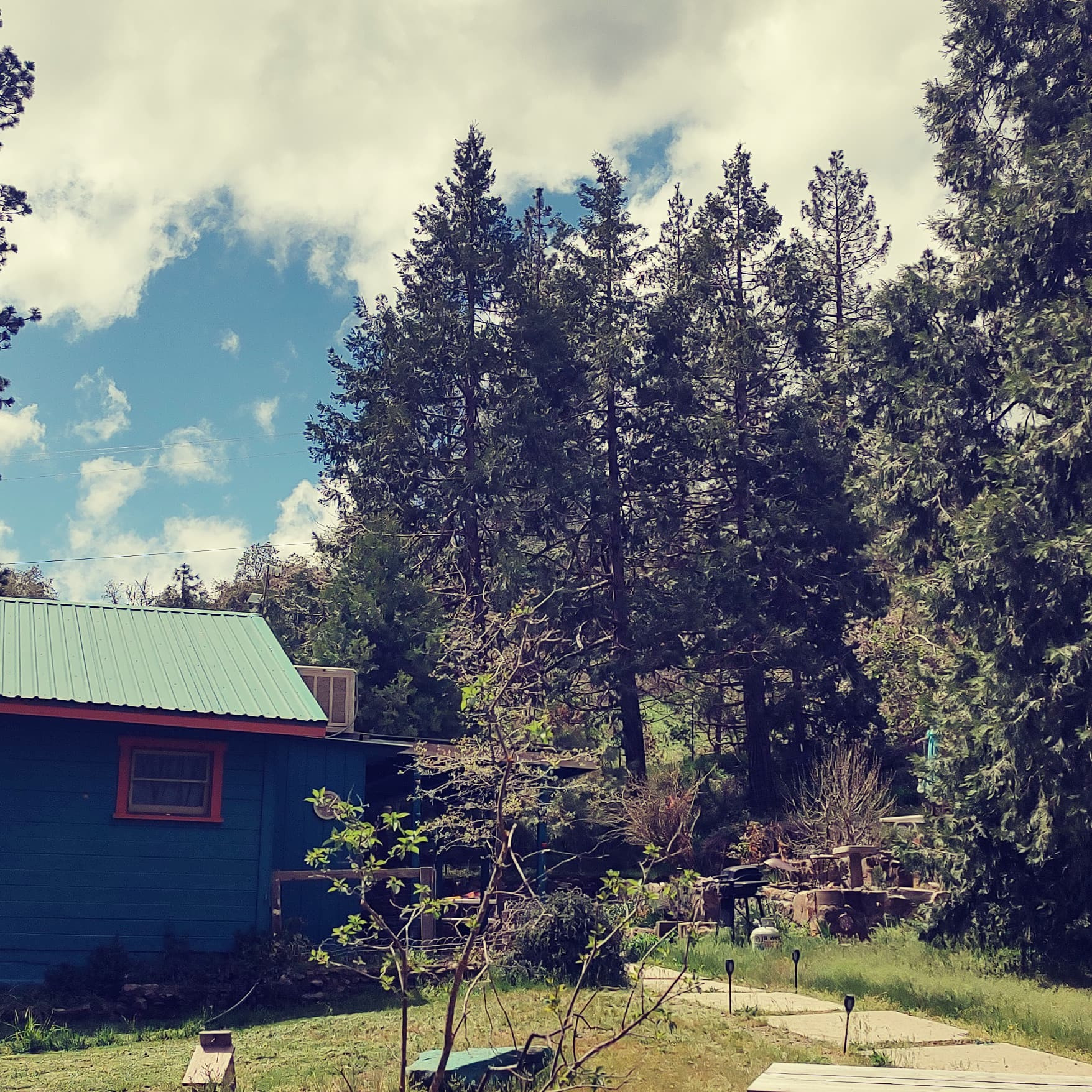 Entrance to the cabin from this walkway. 