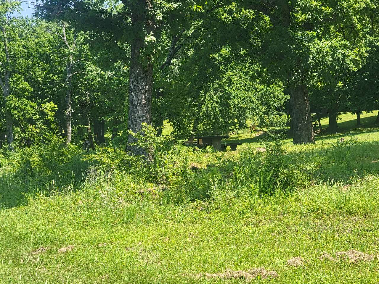 Fort Gibson Lake